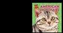 American Shorthairs - eBook