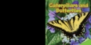 Caterpillars and Butterflies - eBook