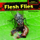 Flesh Flies - eBook