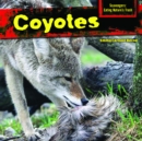 Coyotes - eBook
