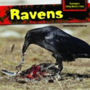 Ravens - eBook