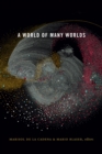 A World of Many Worlds - eBook
