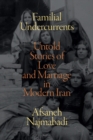 Familial Undercurrents : Untold Stories of Love and Marriage in Modern Iran - Book