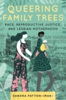 Queering Family Trees : Race, Reproductive Justice, and Lesbian Motherhood - Book