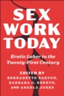 Sex Work Today : Erotic Labor in the Twenty-First Century - Book