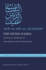 The Divine Names : A Mystical Theology of the Names of God in the Qur?an - eBook