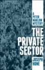 The Private Sector - eBook