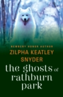 The Ghosts of Rathburn Park - eBook
