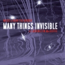 Many Things Invisible - eAudiobook