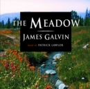 The Meadow - eAudiobook