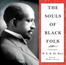 The Souls of Black Folk - eAudiobook