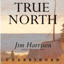 True North - eAudiobook