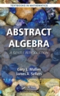 Abstract Algebra : A Gentle Introduction - eBook