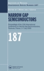 Narrow Gap Semiconductors : Proceedings of the 12th International Conference on Narrow Gap Semiconductors - eBook