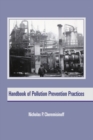 Handbook of Pollution Prevention Practices - eBook