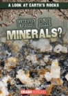 What Are Minerals? - eBook