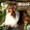 Bruce - eAudiobook
