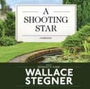 A Shooting Star - eAudiobook