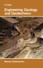 Engineering Geology and Geotechnics - eBook