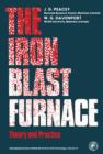 The Iron Blast Furnace : Theory and Practice - eBook