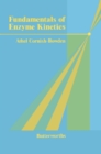 Fundamentals of Enzyme Kinetics - eBook