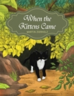 When the Kittens Came - eBook