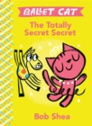 The Totally Secret Secret - Book