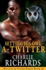 Setting His Owl A-Twitter - eBook