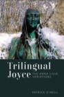Trilingual Joyce : The Anna Livia Variations - Book