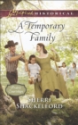 A Temporary Family - eBook