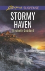 Stormy Haven - eBook