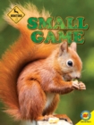 Small Game - eBook
