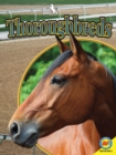 Thoroughbreds - eBook