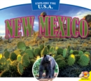 New Mexico - eBook