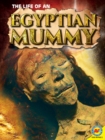 The Life of an Egyptian Mummy - eBook
