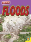 Floods - eBook