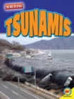 Tsunamis - eBook