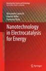 Nanotechnology in Electrocatalysis for Energy - eBook