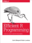 Efficient R Programming : A Practical Guide to Smarter Programming - eBook
