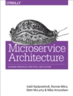 Microservice Architecture : Aligning Principles, Practices, and Culture - eBook