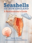 Seashells of New England : A Beachcomber's Guide - eBook