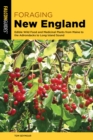 Foraging New England : Edible Wild Food and Medicinal Plants from Maine to the Adirondacks to Long Island Sound - eBook