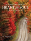 Travels through the Heart and Soul of New England : Stories of Struggle, Resilience, and Triumph - eBook