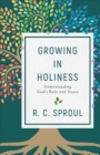 Growing in Holiness : Understanding God's Role and Yours - eBook