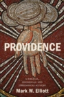 Providence : A Biblical, Historical, and Theological Account - eBook