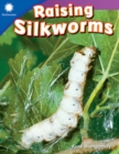 Raising Silkworms - eBook