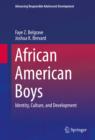 African American Boys : Identity, Culture, and Development - eBook