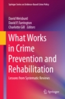 What Works in Crime Prevention and Rehabilitation : Lessons from Systematic Reviews - eBook