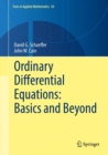 Ordinary Differential Equations: Basics and Beyond - eBook