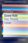 Ozone Hole : Past, Present, Future - eBook